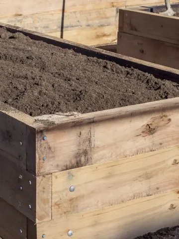 recharge raised bed soil