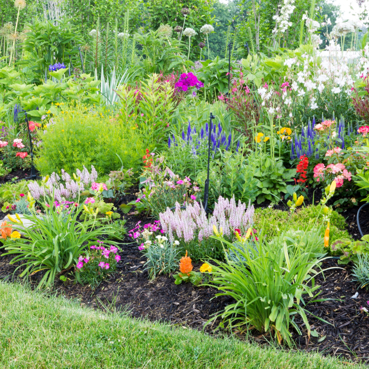 How To Mulch Flowerbeds To Stop Weeds - 3 Mulching Secrets!