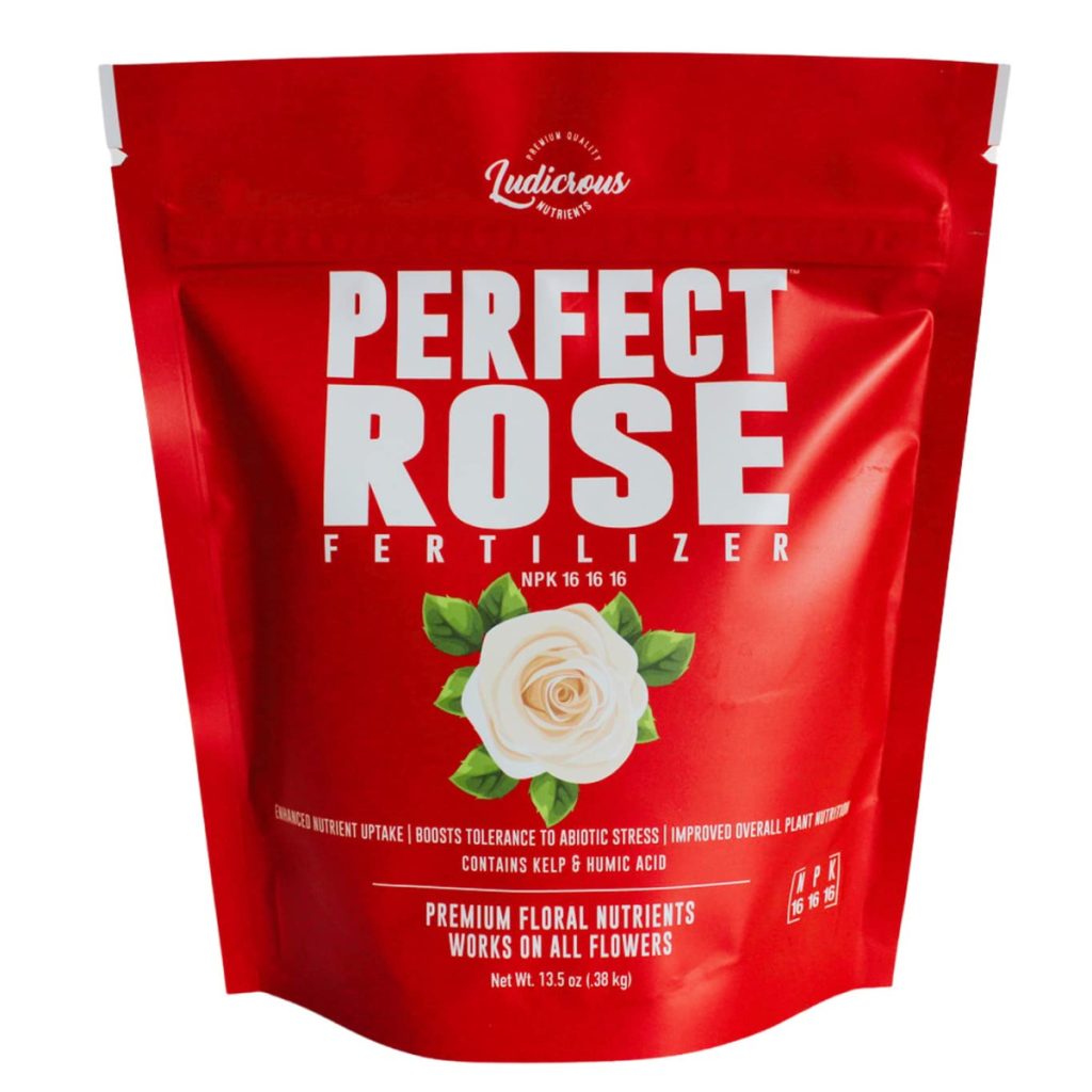 rose fertilizer