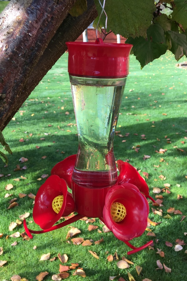 Humming bird feed and fall leaves