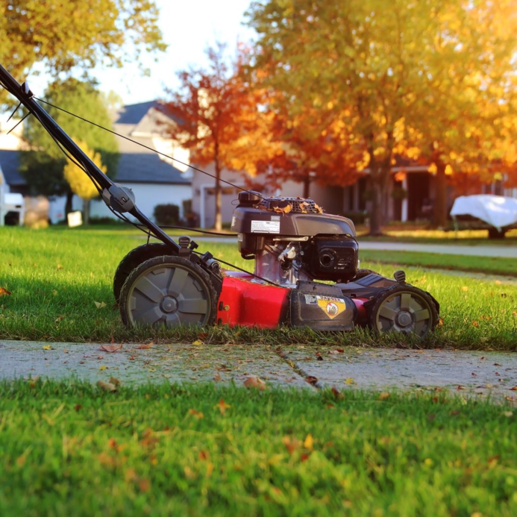 essential lawn chores in the fall