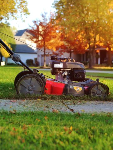 essential lawn chores in the fall