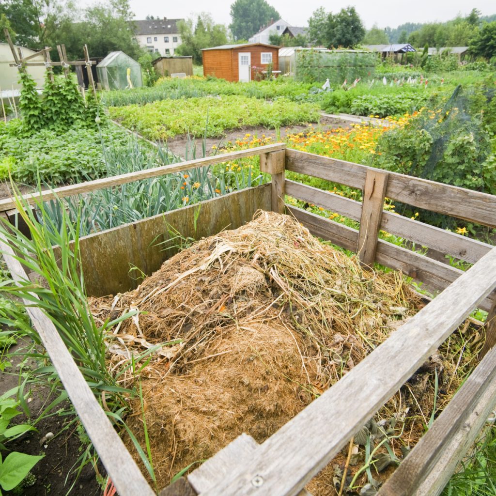 biggest fall compost pile mistakes