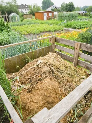 biggest fall compost pile mistakes