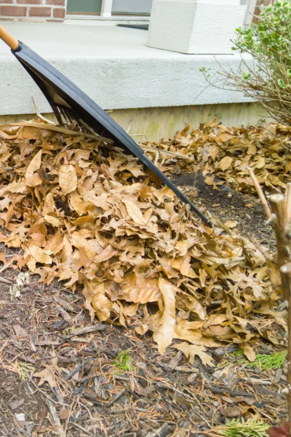 must do fall flowerbed chores