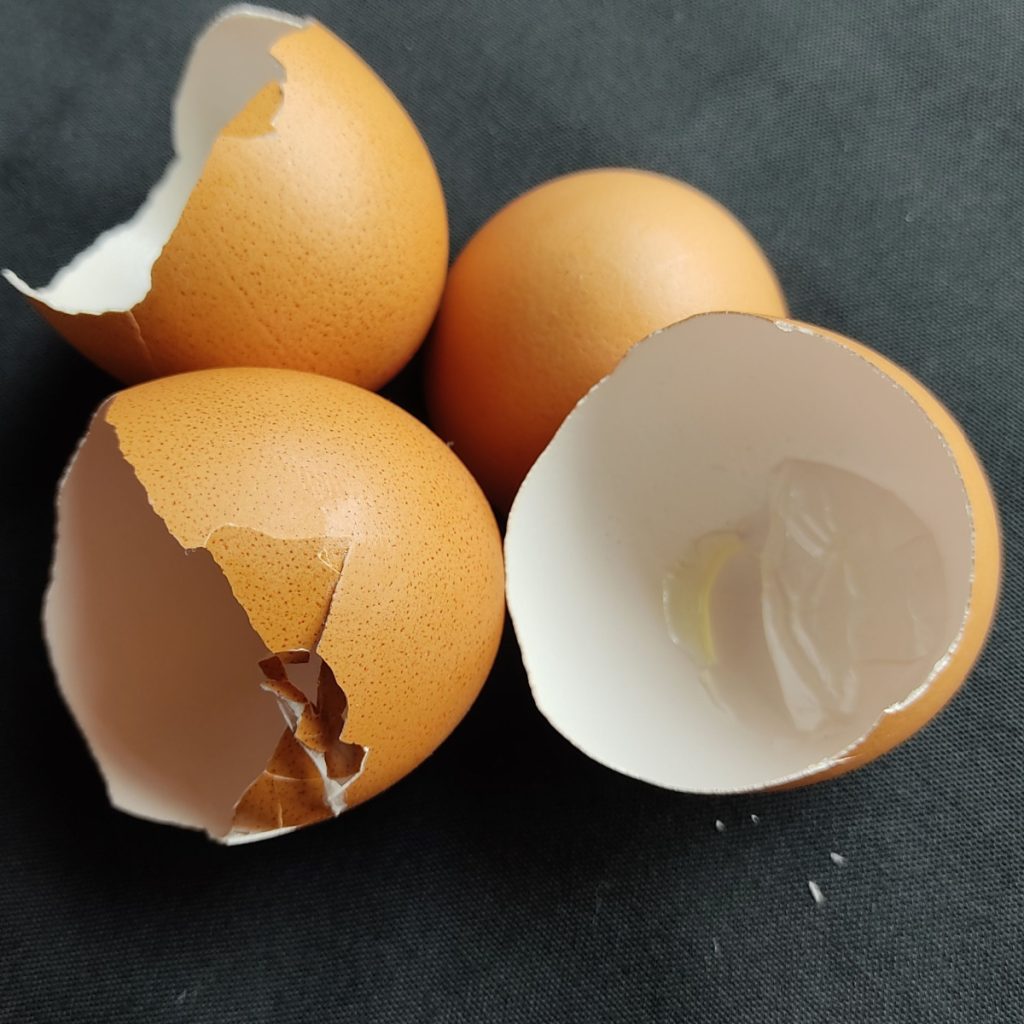 safe and simple way to save egg shells