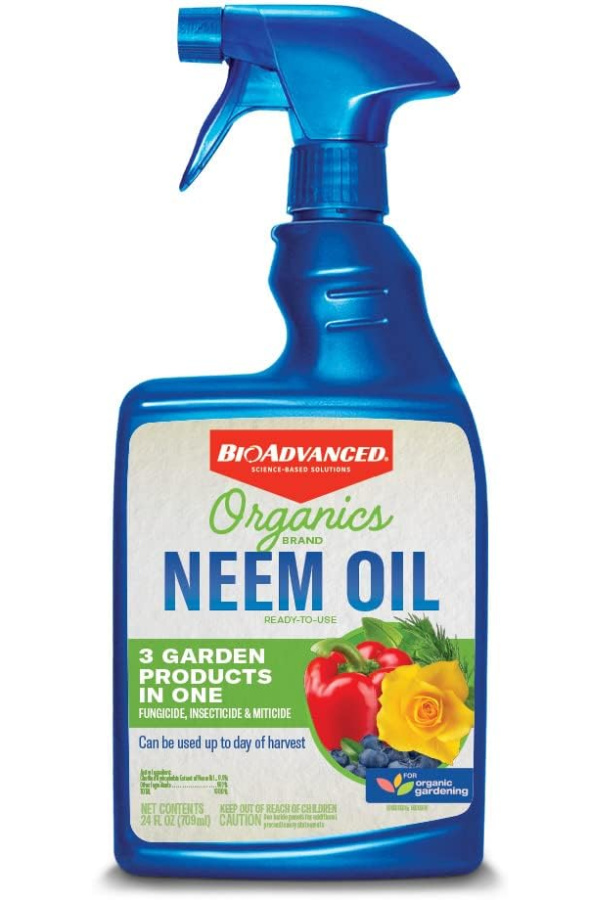 neem oil