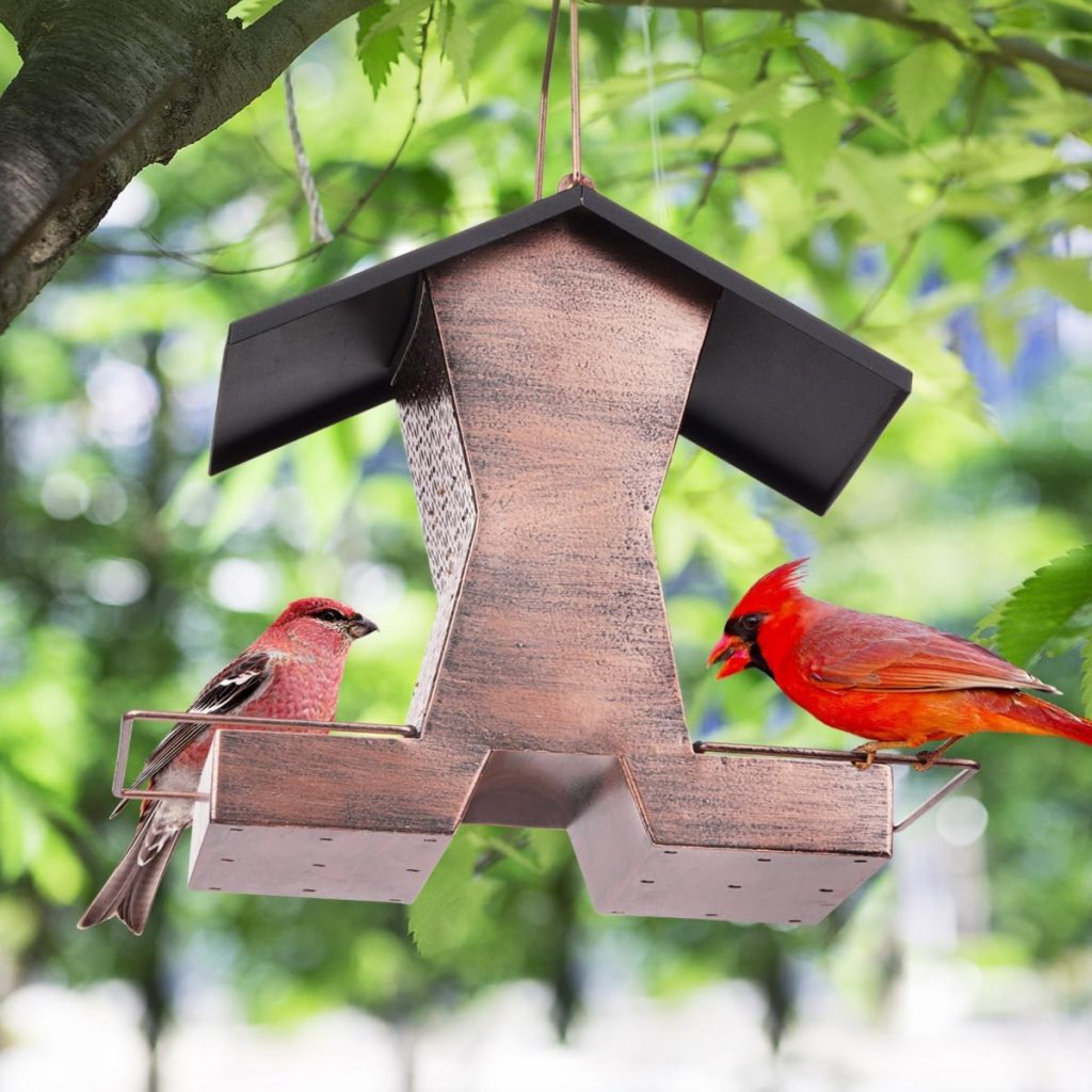 feeding cardinals in the winter