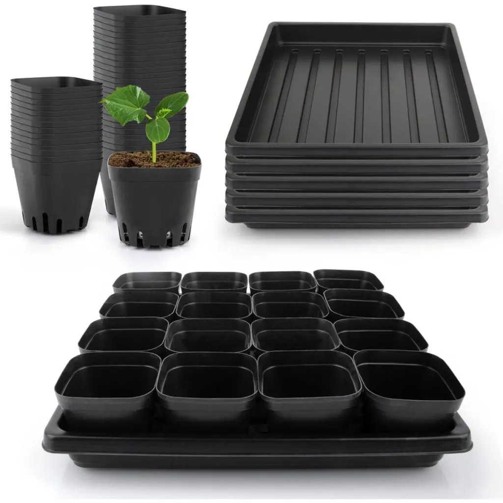 seedling trays