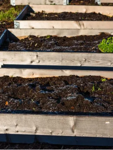 recharge raised beds in the winter