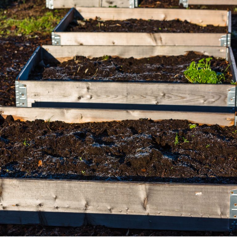 recharge raised beds in the winter