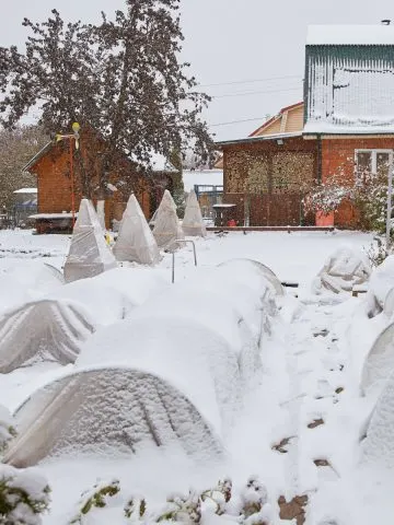 winter garden chores indoors