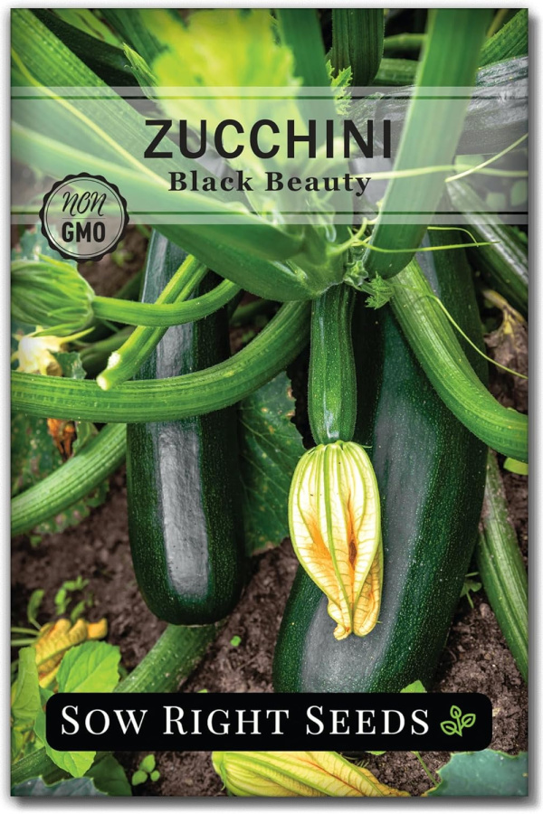 zucchini seeds