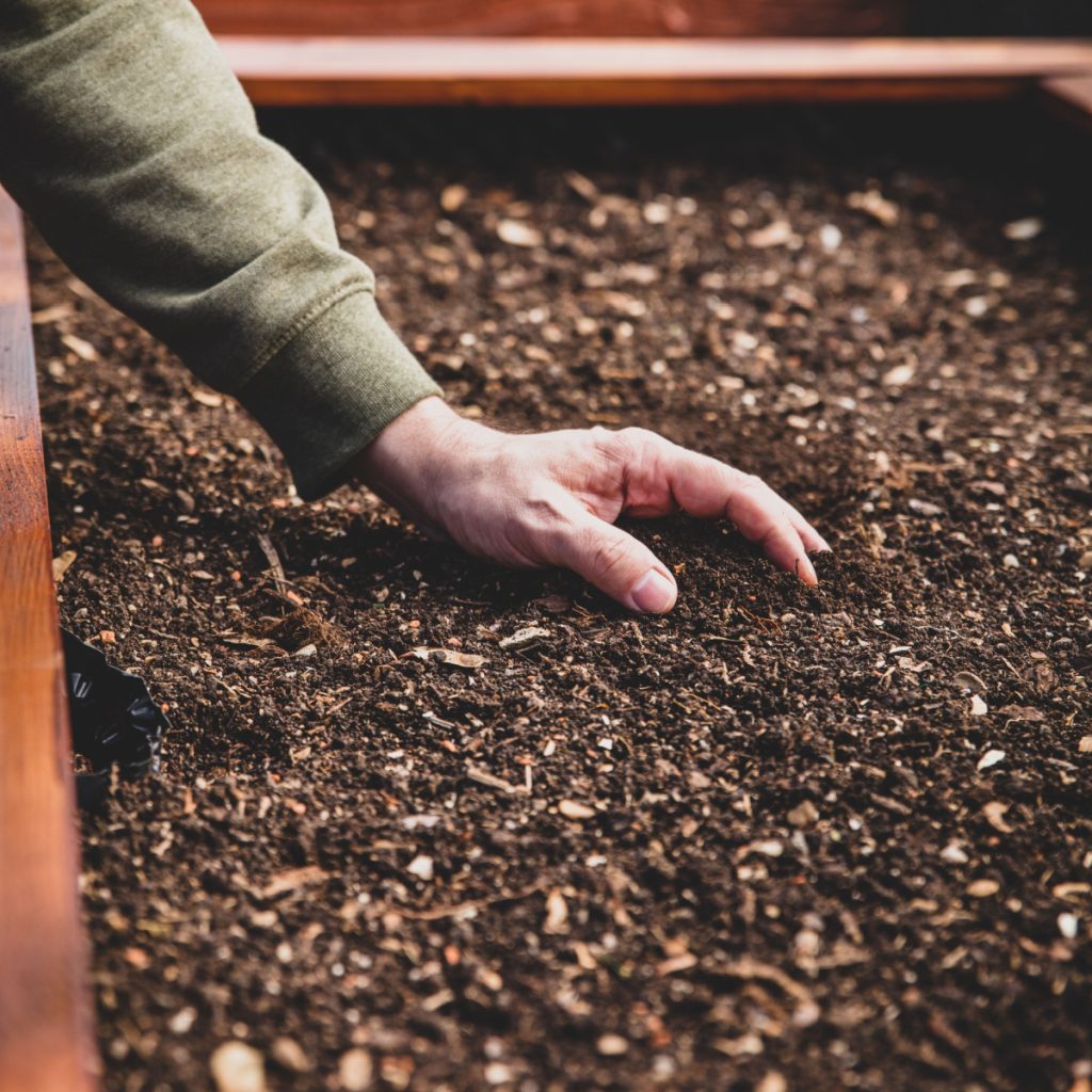 filling raised beds