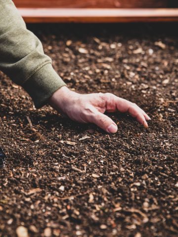 filling raised beds