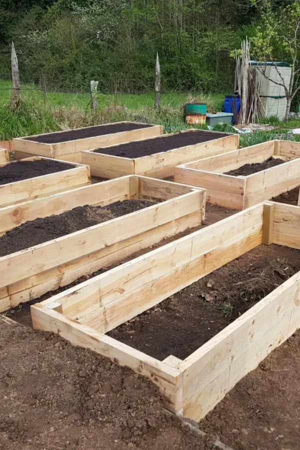 raised beds empty