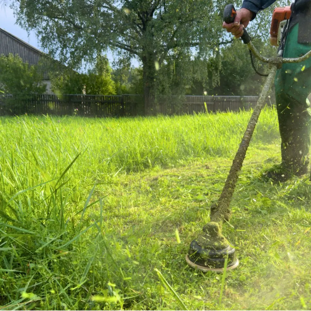 how to keep ticks out of your yard