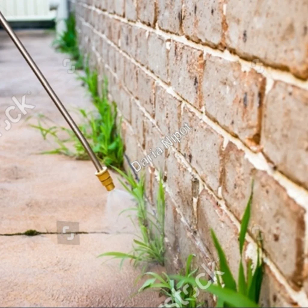 stop weeds with vinegar