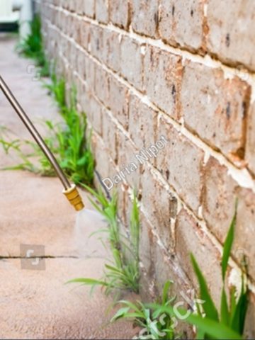 stop weeds with vinegar