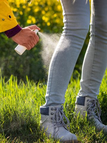 all natural homemade tick spray