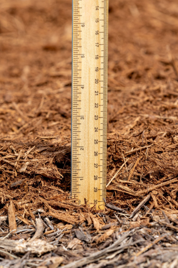 mulch thickness
