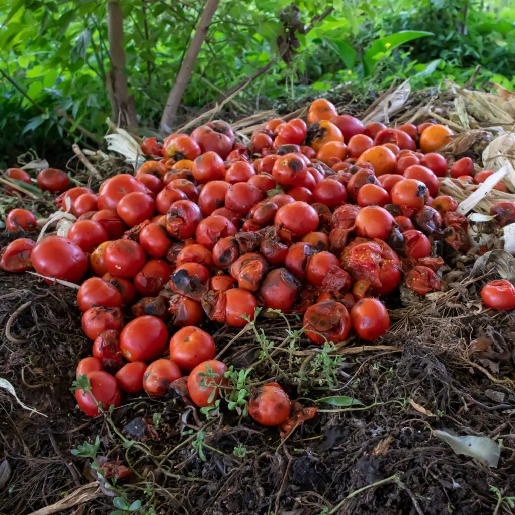 plants to never compost