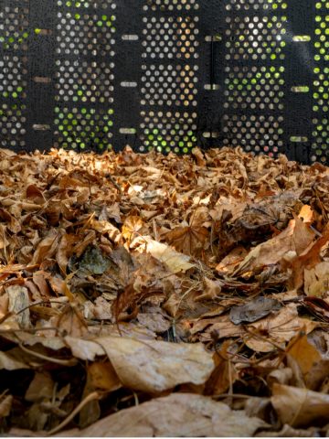 best way to compost leaves