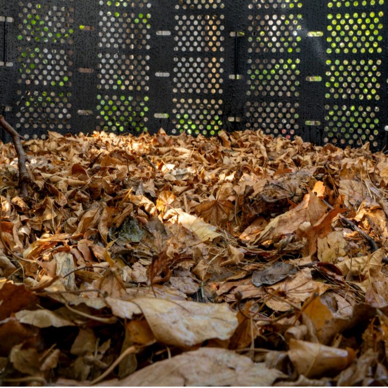 best way to compost leaves