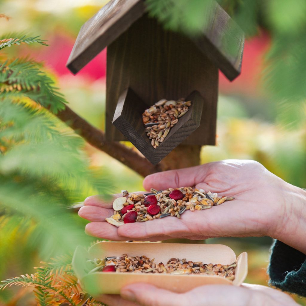 make your own bird feed