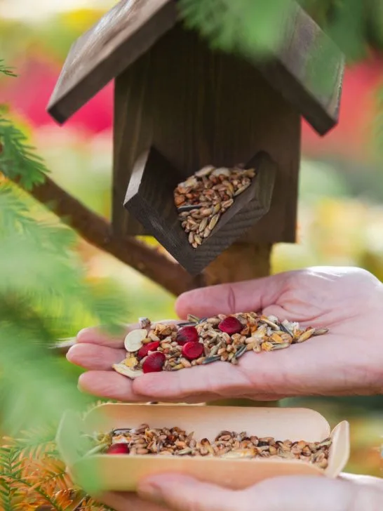 make your own bird feed