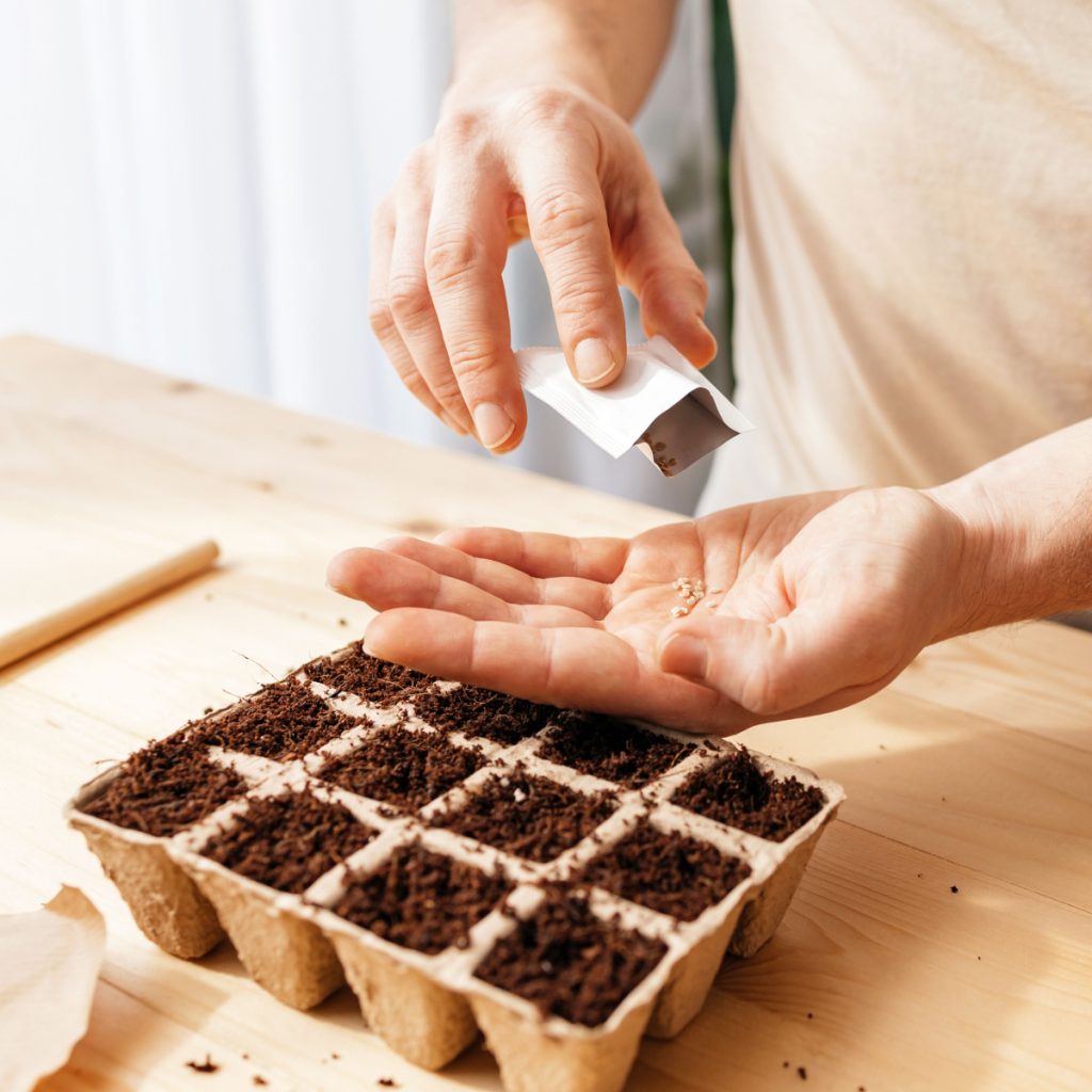 The Best Way To Start Vegetable Seeds Indoors - And When To!