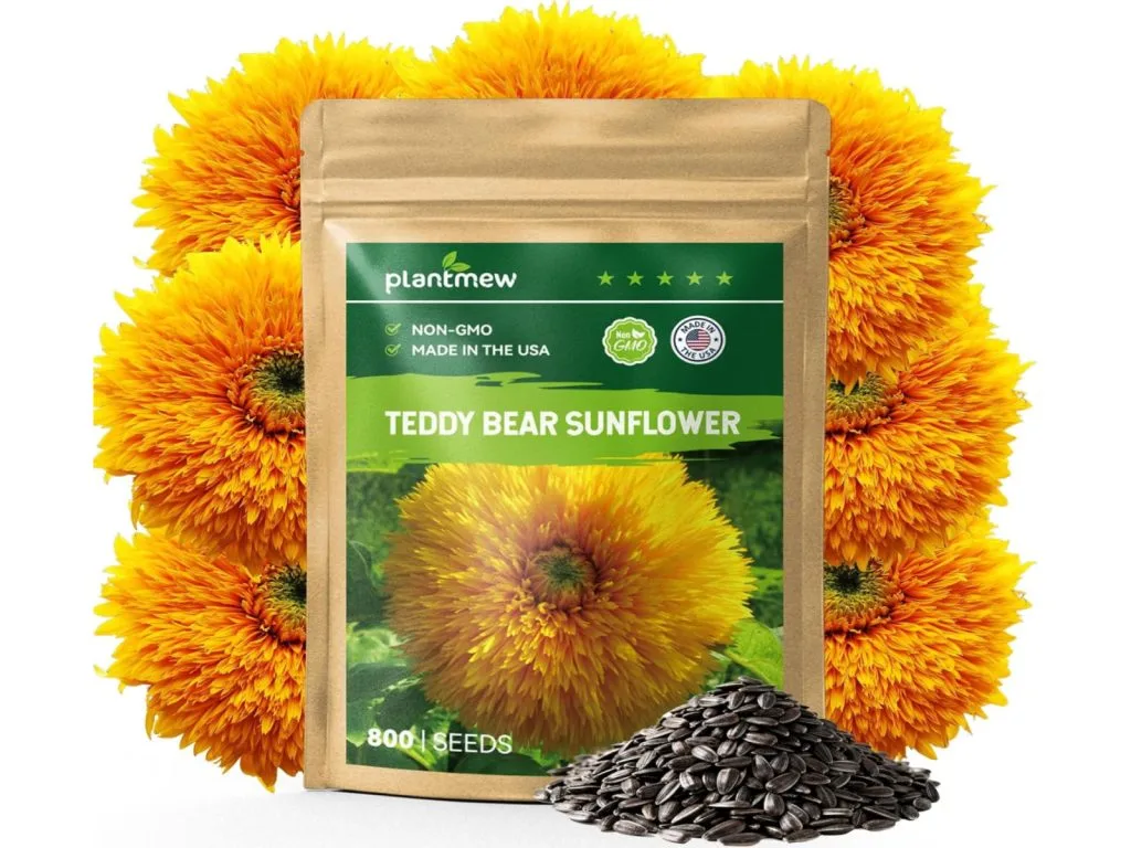 sunflower seeds