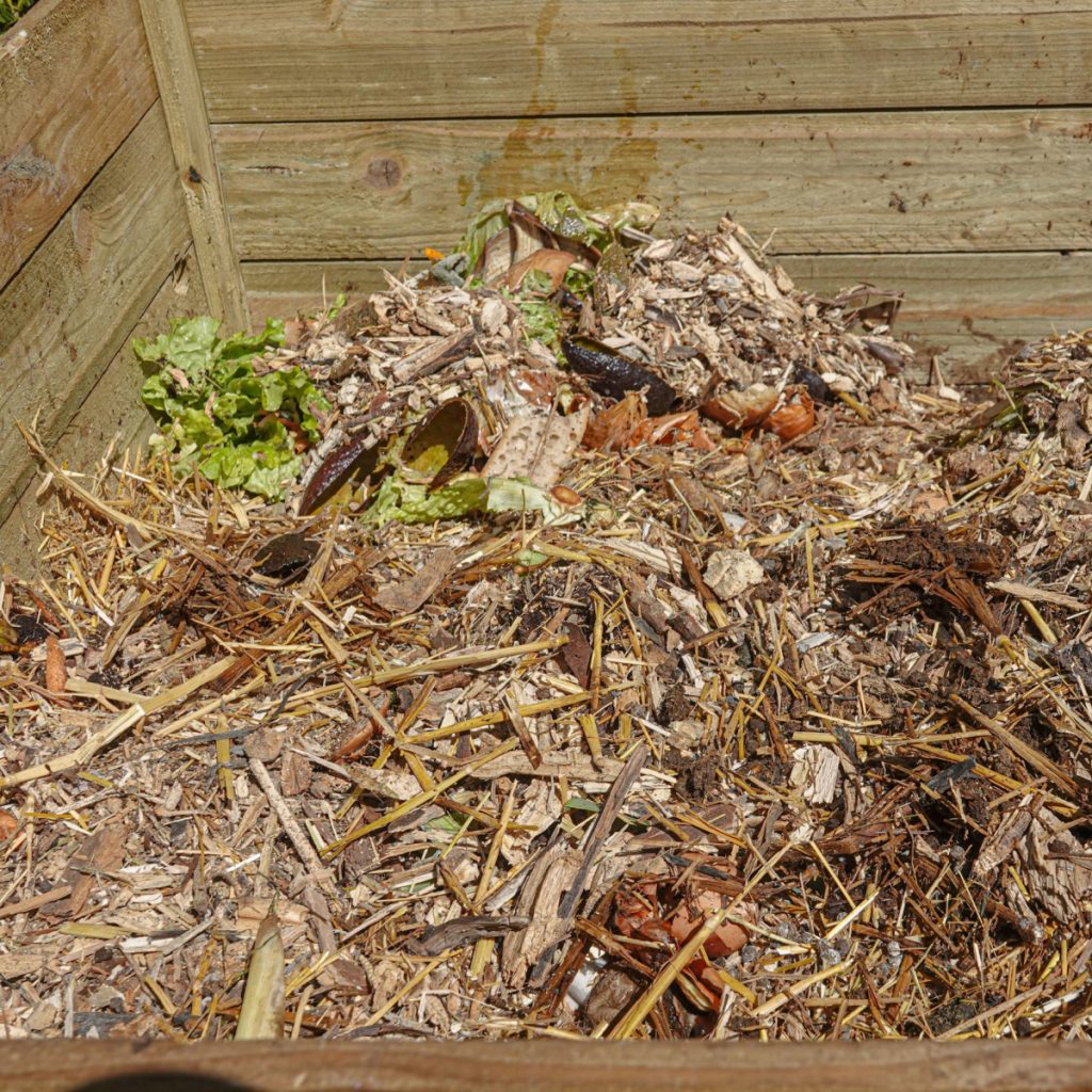 compost cardboard
