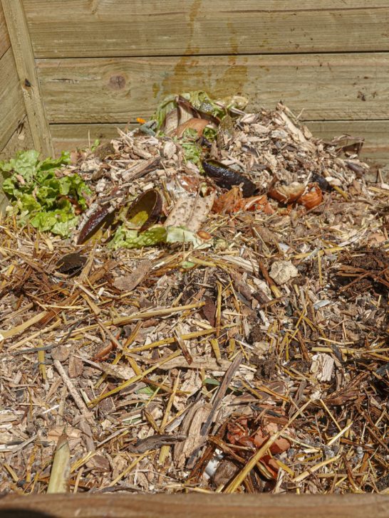 compost cardboard